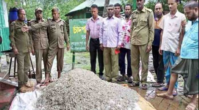 সুন্দরবনে বিষ দিয়ে আহরিত আটমন চিংড়ি জব্দ সুন্দরবনে বিষ দিয়ে আহরিত আটমন চিংড়ি জব্দ